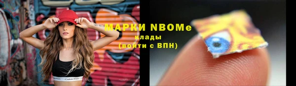 мяу мяу мука Новозыбков