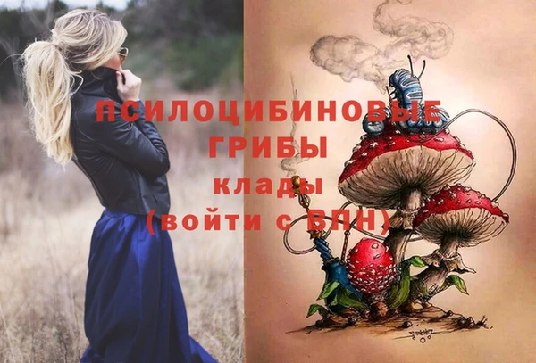 мяу мяу мука Новозыбков
