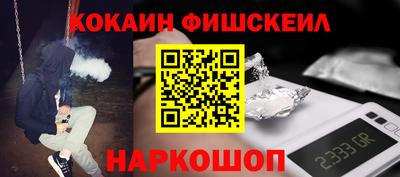 гидропоника Камышлов