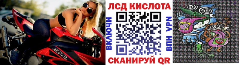 Наркотические марки 1,8мг где продают наркотики Кинешма