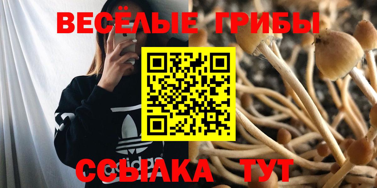 цена наркотик  Галлюциногенные грибы GOLDEN TEACHER  Вход с VPN  Кинешма 