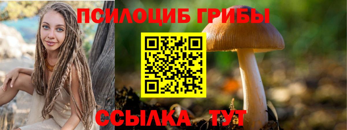 Галлюциногенные грибы Magic Shrooms  Псилоцибиновые грибы мухоморы  Кинешма 